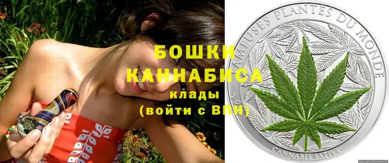 даркнет сайт  mega онион  Бошки марихуана SATIVA & INDICA  Октябрьский 